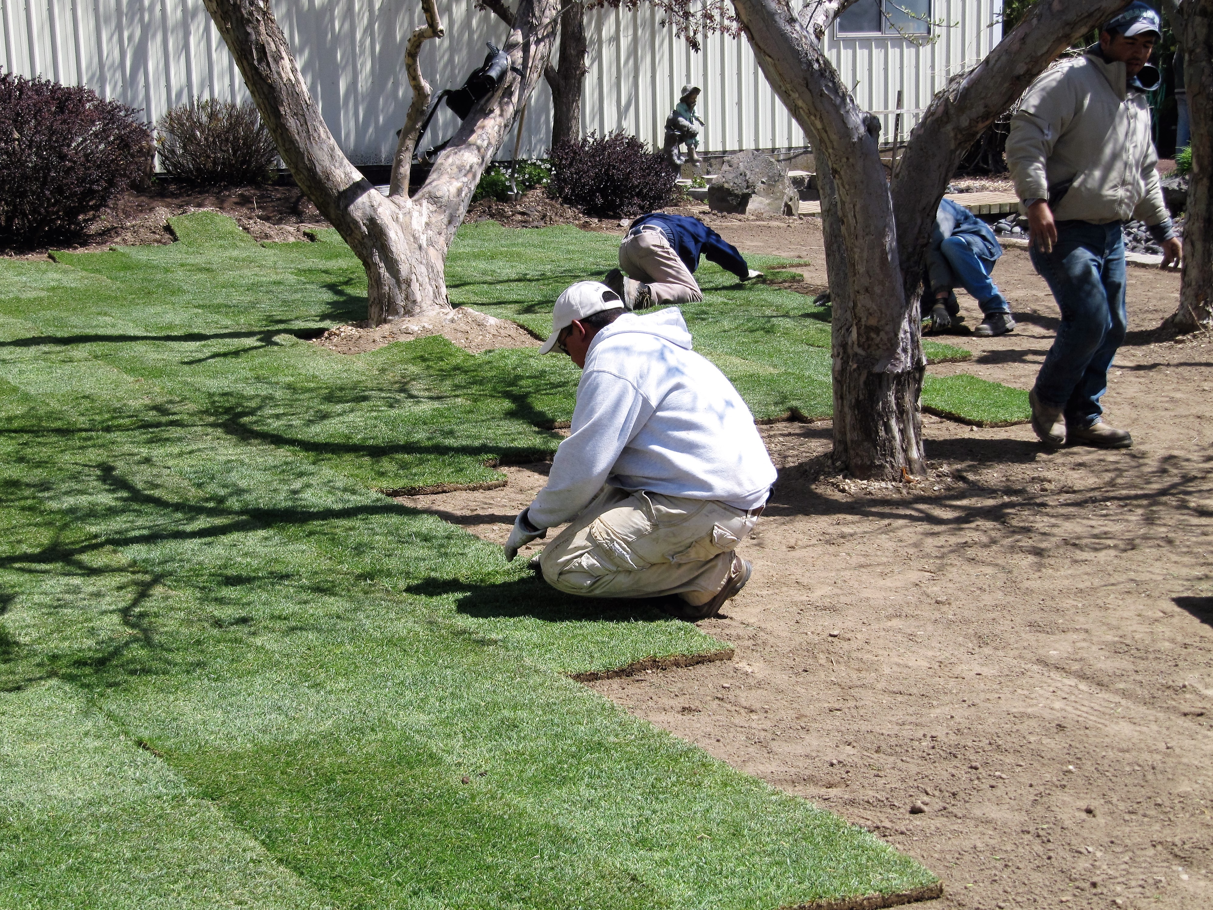 Aerial view of turf installation in Arlington